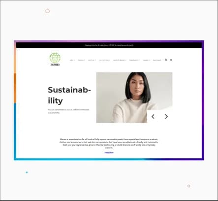 Zhanes Shopify,E-commerce